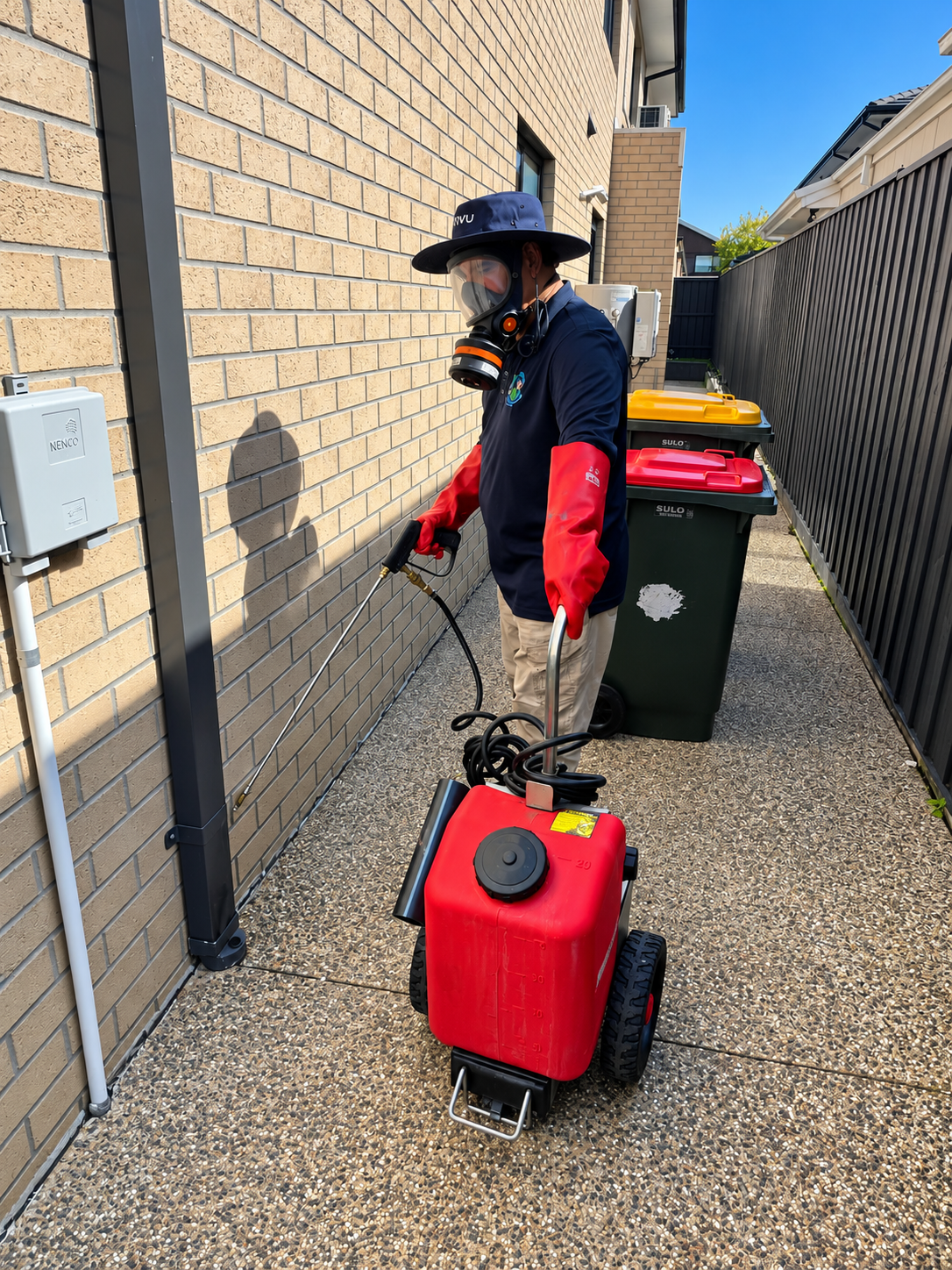 Pest Control in Brunswick